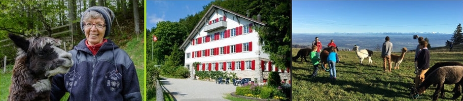 ferienhaus jura seminarhaus jura