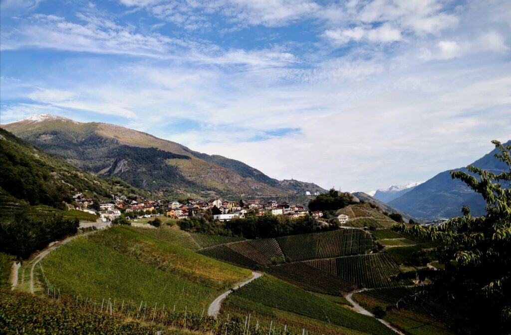 weinwanderun g wallis
