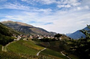 weinwanderun g wallis